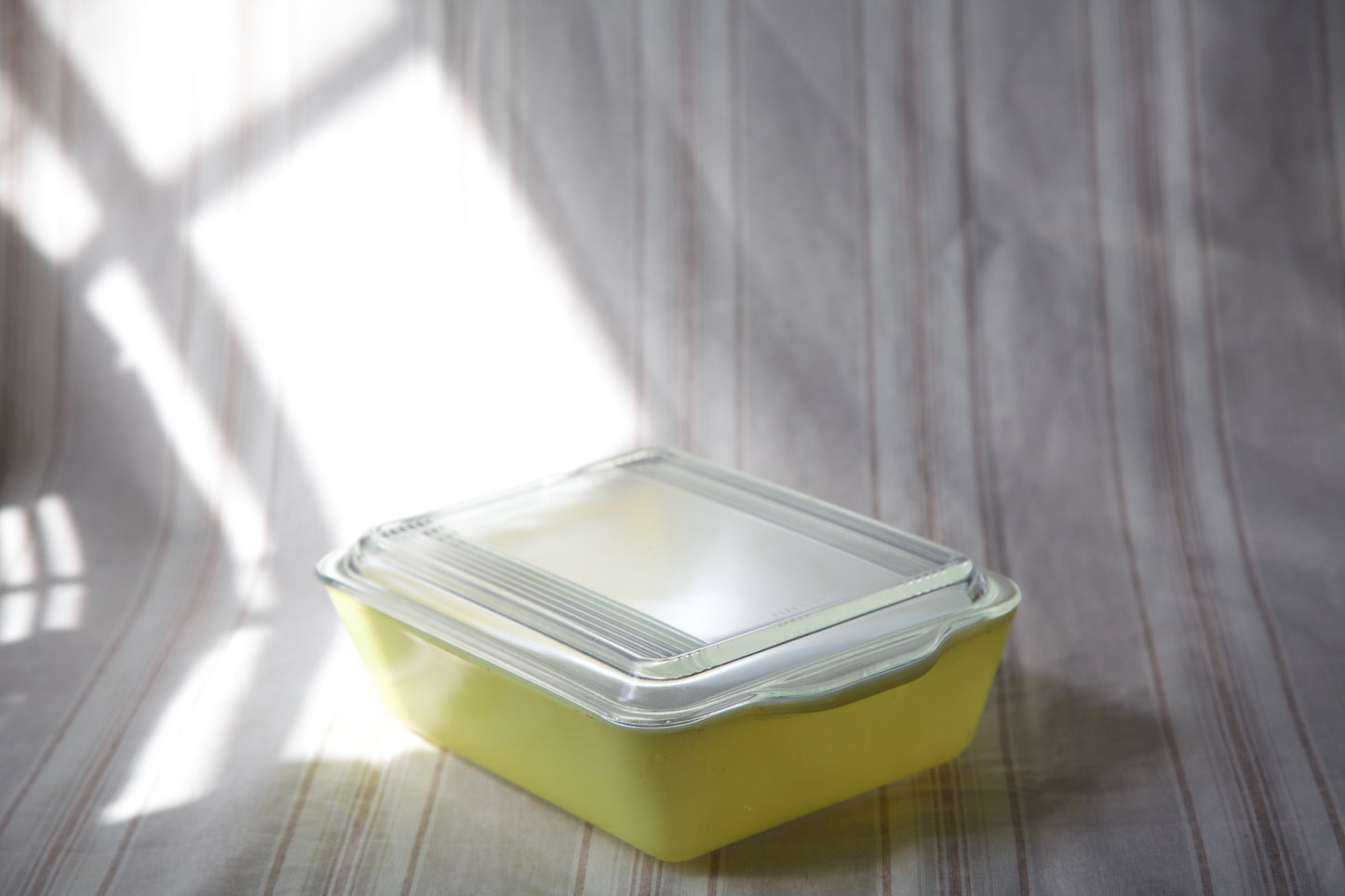 1940's Pyrex Refrigerator Set of 4 "Fridgies"- Primary