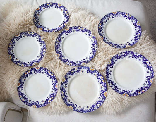 Bristol Dinner Plate Set