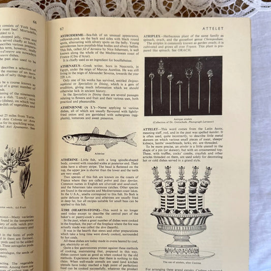 'Larousse Gastronomique' Cookbook