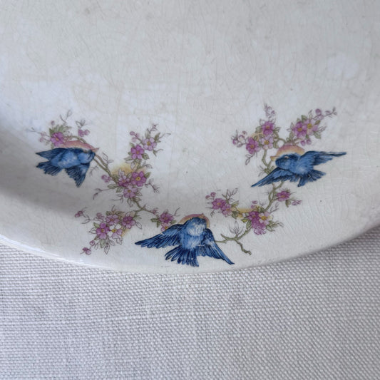 1930's Transfer-ware Bird & Flower Print Oval Platter