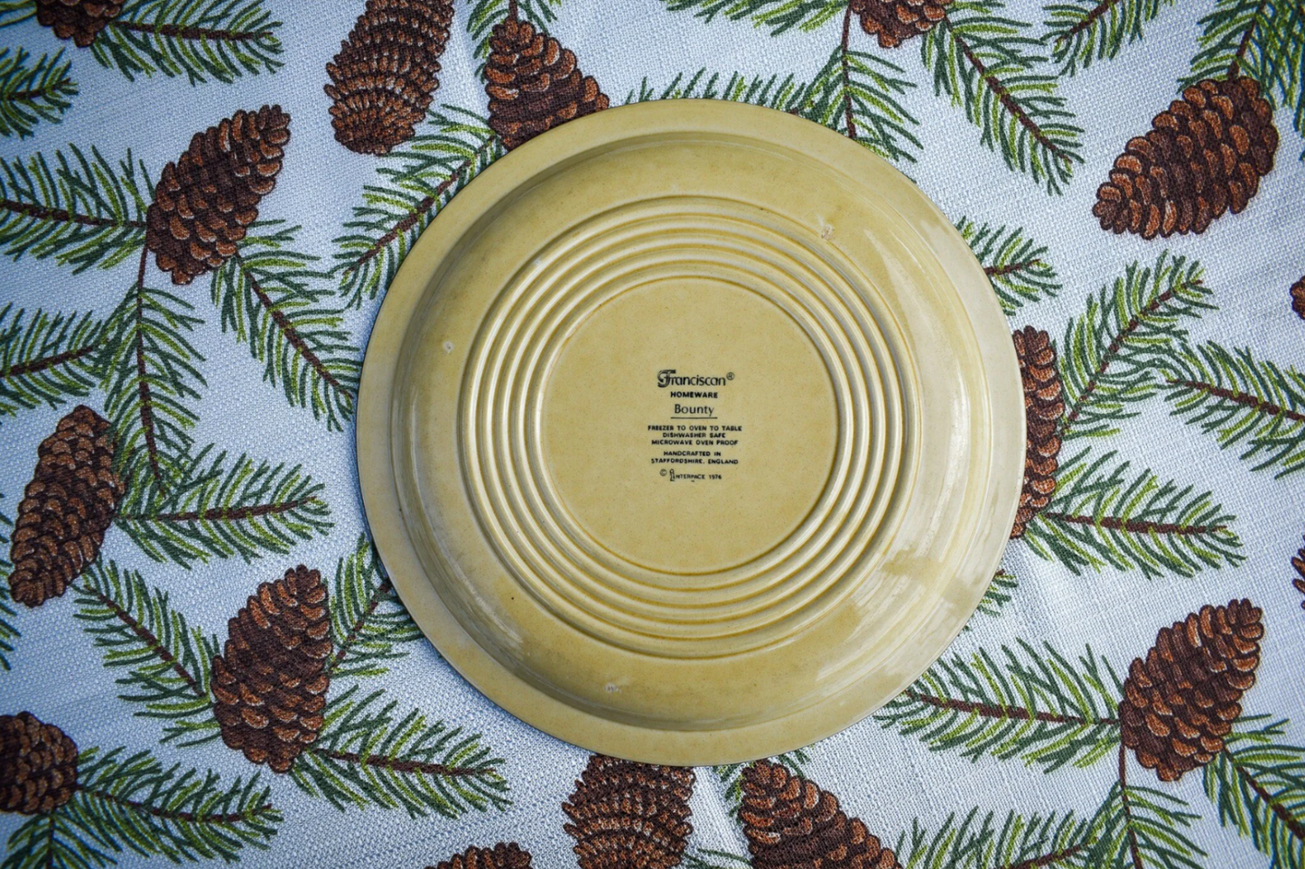 Franciscan Ceramic Homeware Dinner Plate