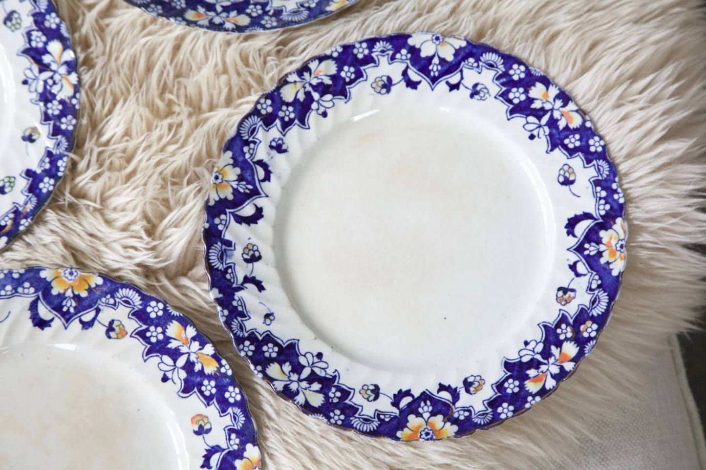Bristol Dinner Plate Set