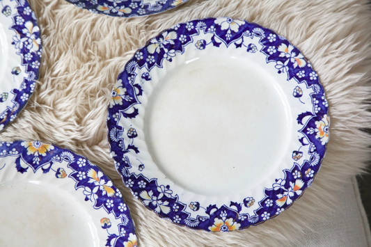 Bristol Dinner Plate Set